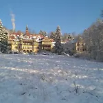 Wysokie łąki W Górach *
