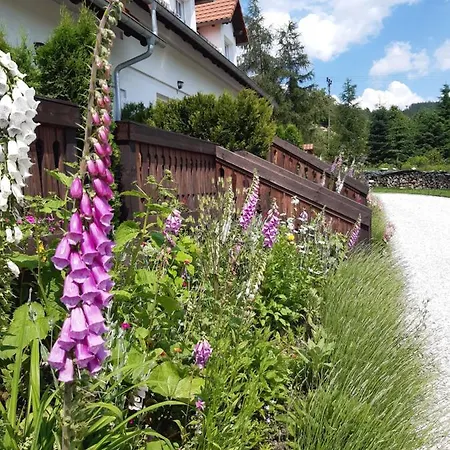 Wysokie Laki W Gorach Alpstuga Kowary