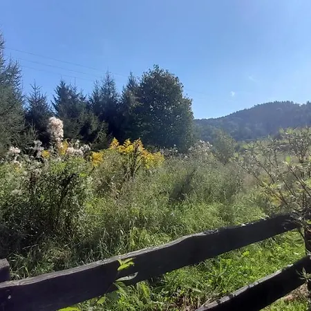 Wysokie Laki W Gorach Alpstuga Kowary