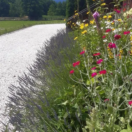 Wysokie Laki W Gorach * Kowary