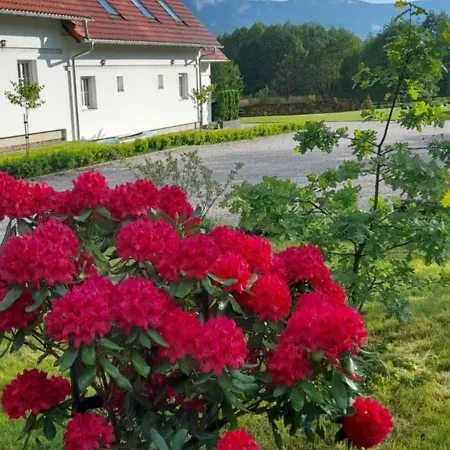 Wysokie Laki W Gorach Alpstuga *