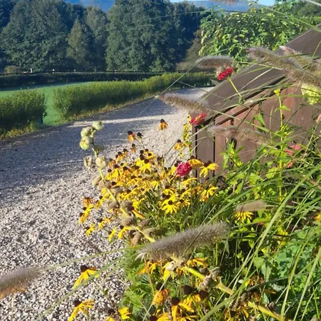 Wysokie Laki W Gorach Kowary