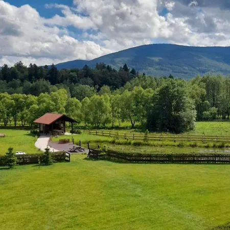 Wysokie Laki W Gorach Alpstuga