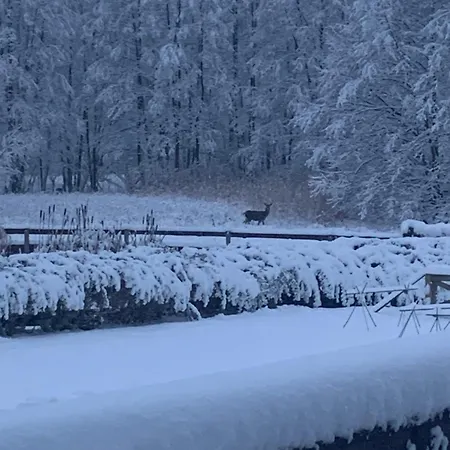 Wysokie Laki W Gorach Chalet