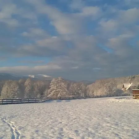 Wysokie Laki W Gorach *