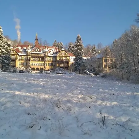 Wysokie łąki W Górach *
