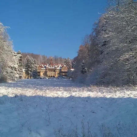 Wysokie Laki W Gorach