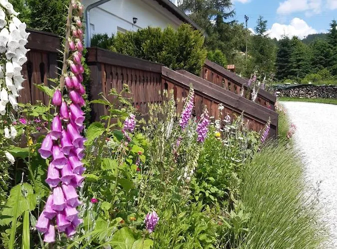 Wysokie Laki W Gorach Alpesi faház Kowary