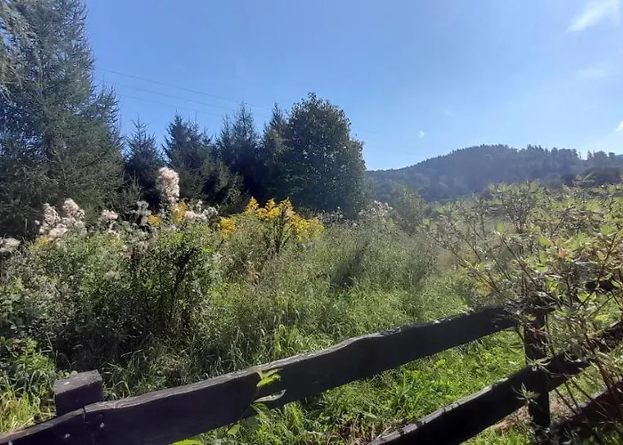 Wysokie Laki W Gorach Alpesi faház Kowary