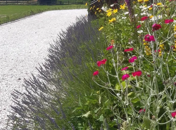 Wysokie Laki W Gorach * Kowary