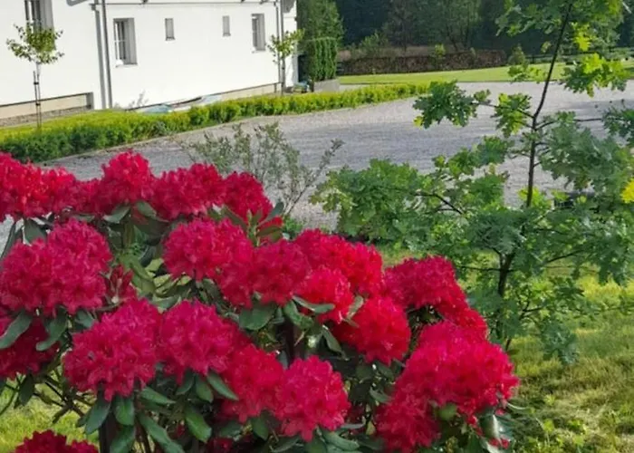 Wysokie Laki W Gorach Alpesi faház *