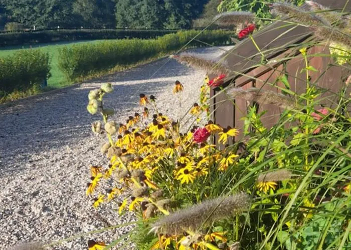 Wysokie Laki W Gorach Kowary