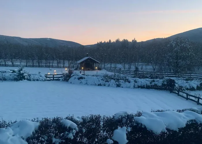 Wysokie Laki W Gorach * Kowary