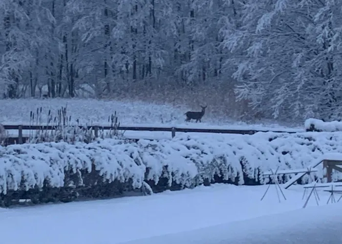 Wysokie Laki W Gorach Alpesi faház