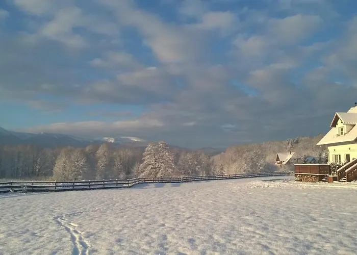 Wysokie Laki W Gorach *