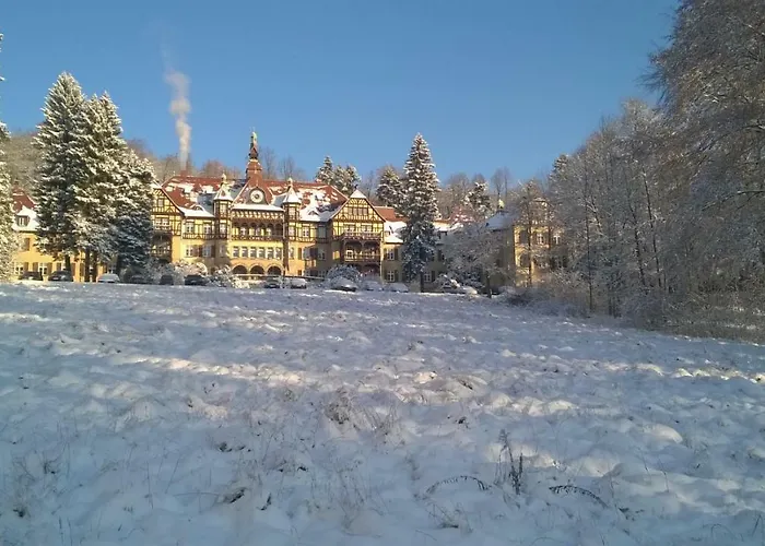 Wysokie Laki W Gorach *