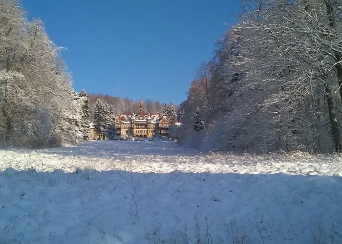 Wysokie Laki W Gorach