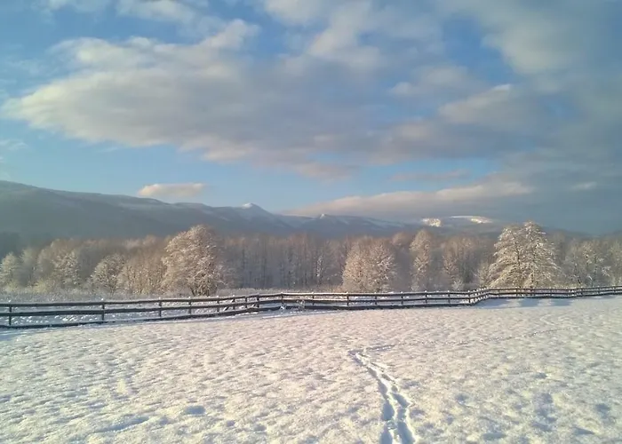 Wysokie Laki W Gorach Kowary